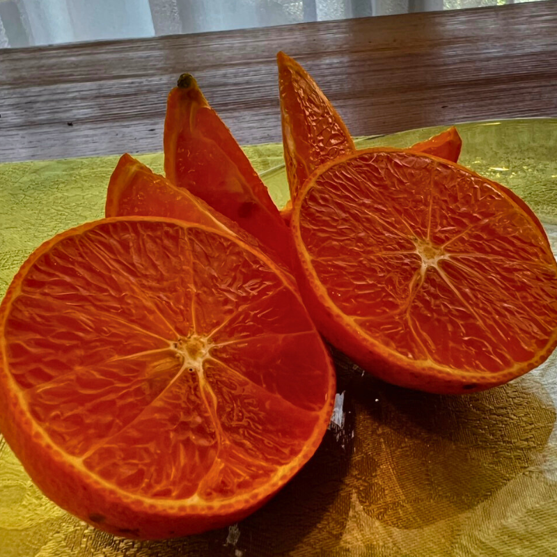 プリンセス　5Kg