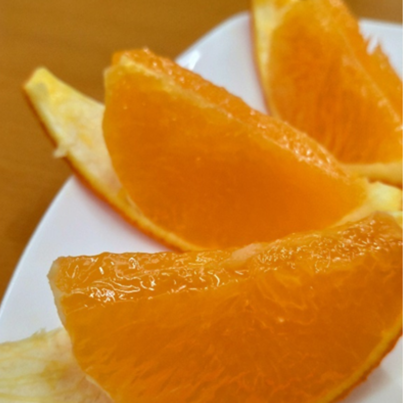 まどんな5Kg　規格外品