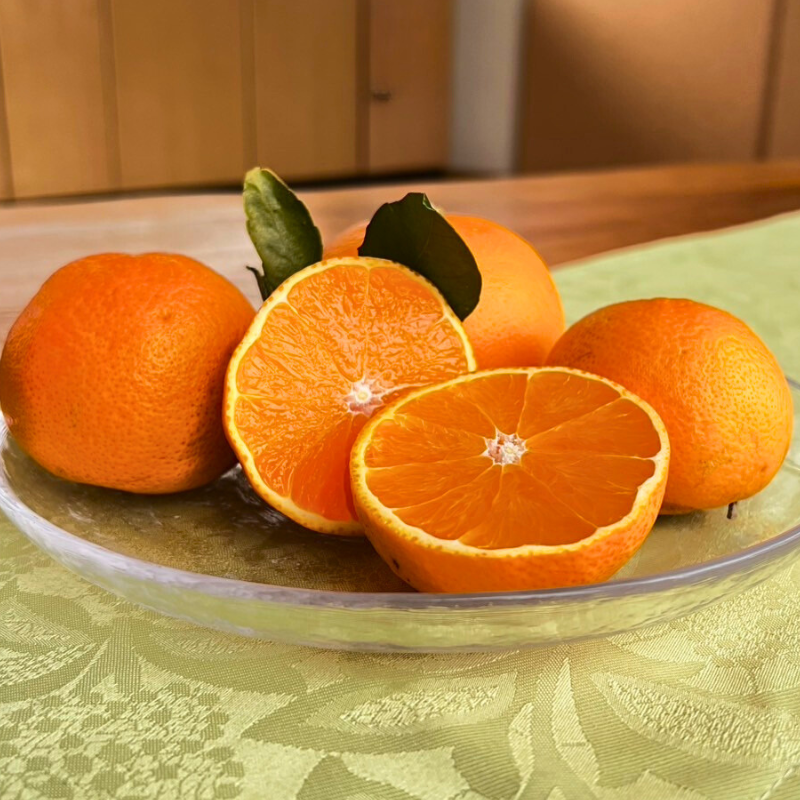 まどんな5Kg　規格外品