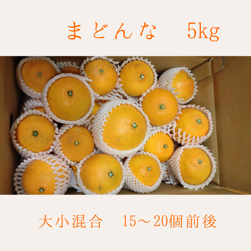 まどんな 5kg