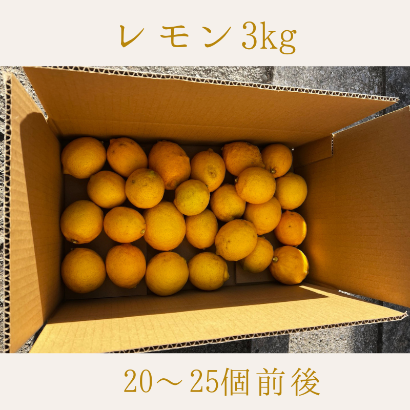 レモン　3Kg