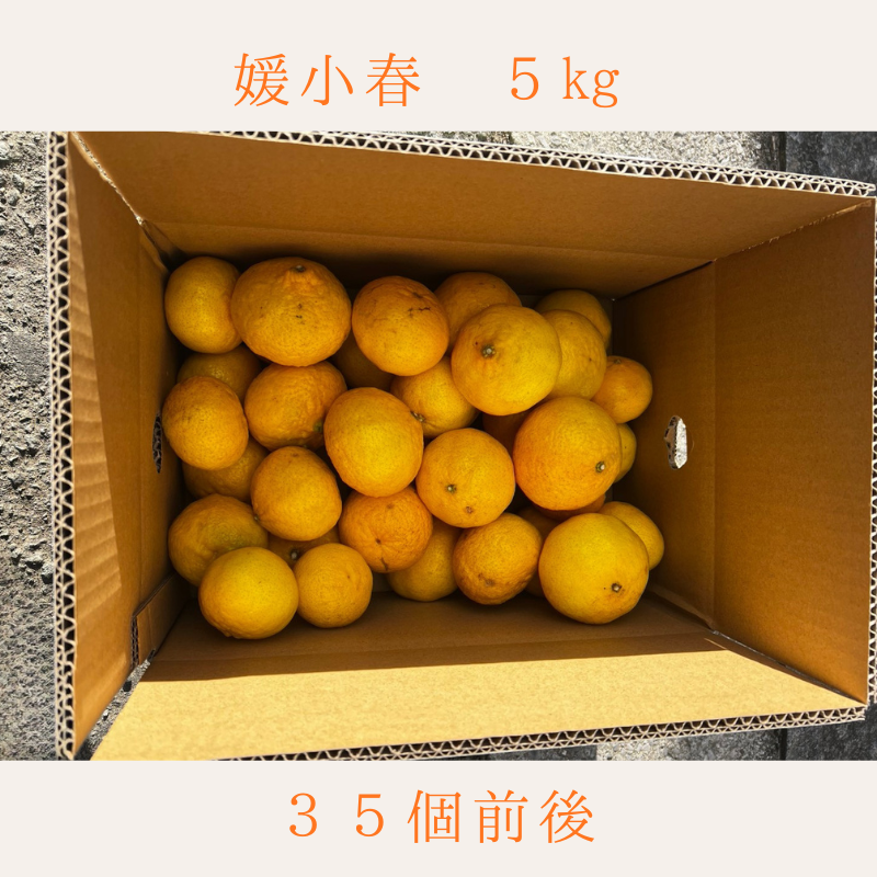 媛小春　5Kg