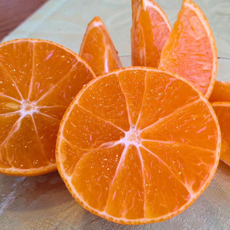 プリンセス　5Kg