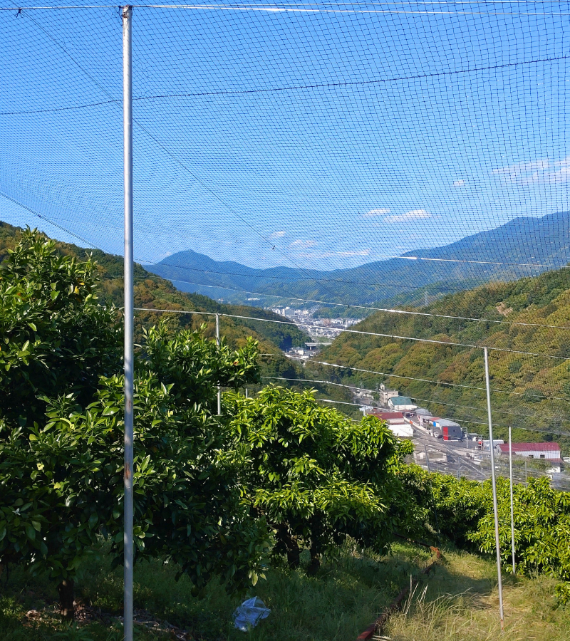 鳥獣侵入防止フェンス