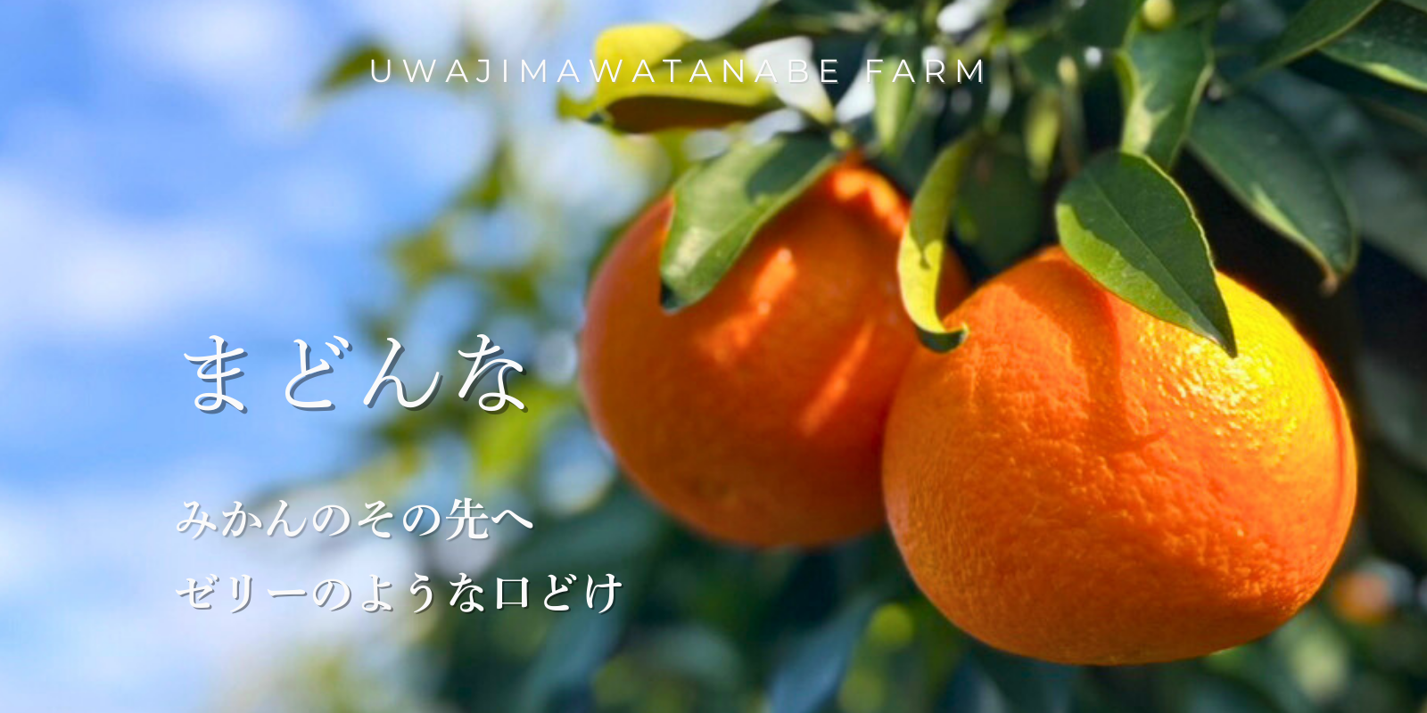 うわじま渡辺農園